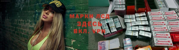 дживик Володарск