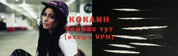 дживик Володарск